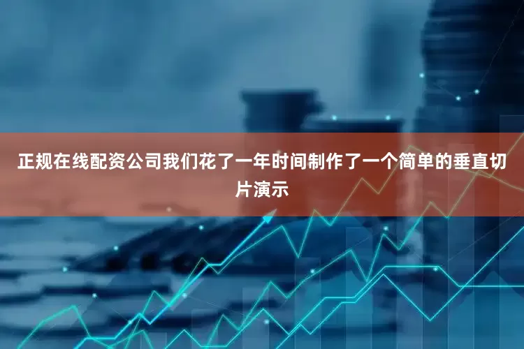 正规在线配资公司我们花了一年时间制作了一个简单的垂直切片演示