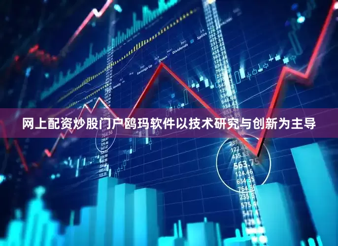 网上配资炒股门户鸥玛软件以技术研究与创新为主导